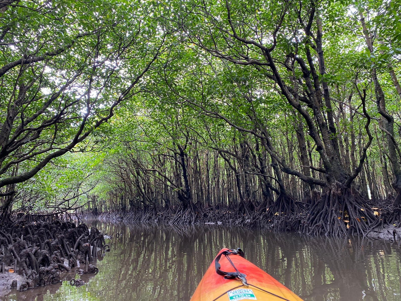 Iriomote Island in Okinawa