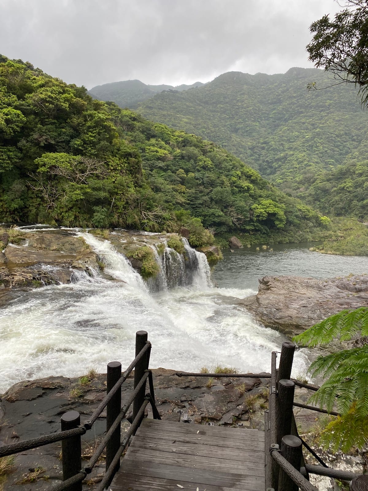 Iriomote Island in Okinawa