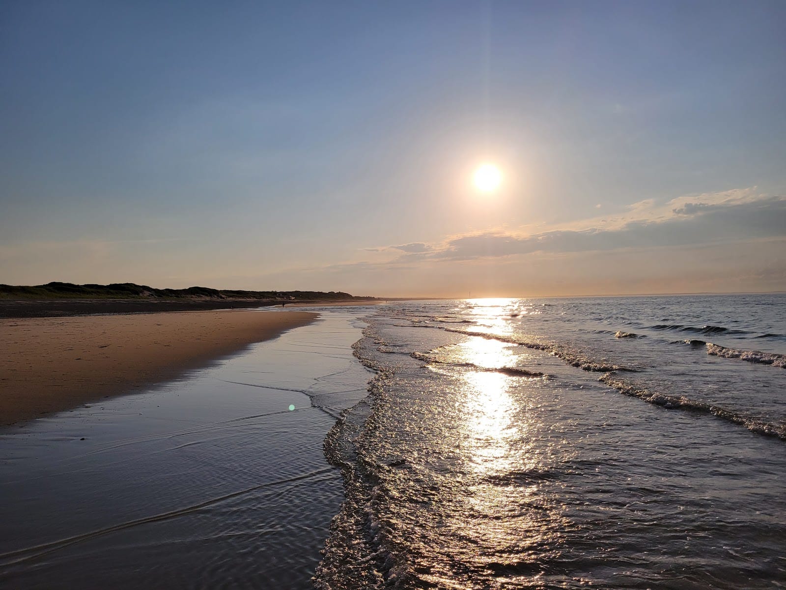 A sandy Cape Cod beach stretching along the Atlantic coast with dune grass.