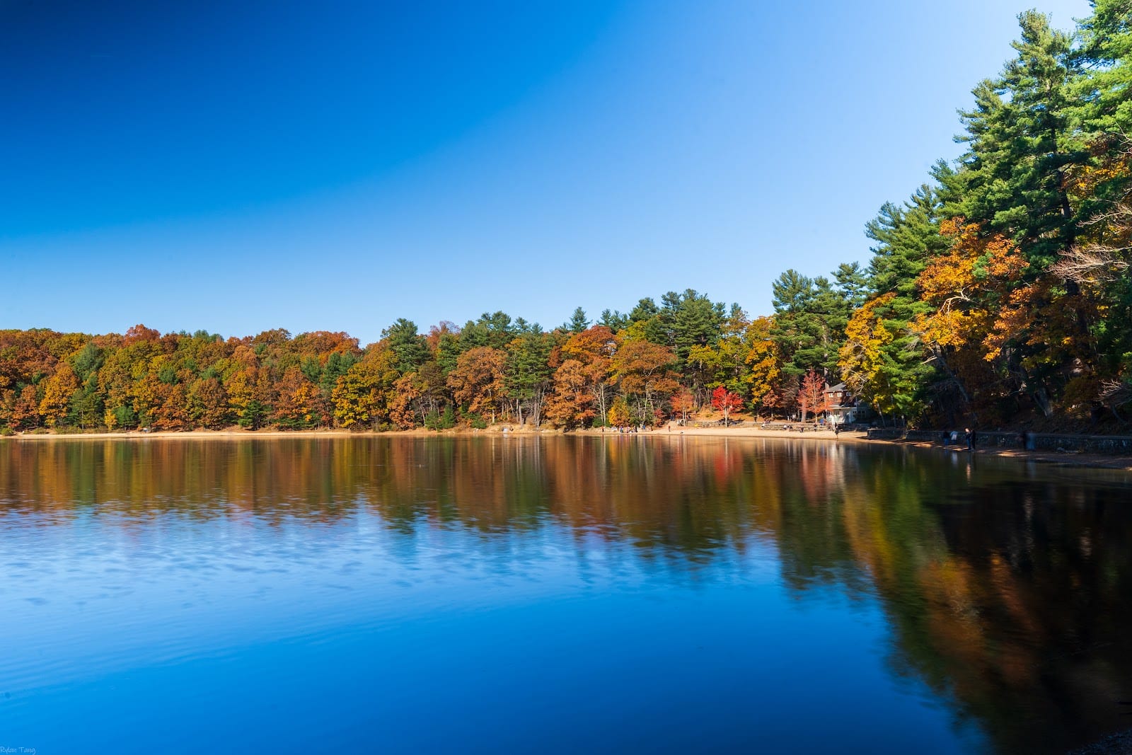 Autumn foliage surrounding Walden Pond in Concord, Massachusetts.