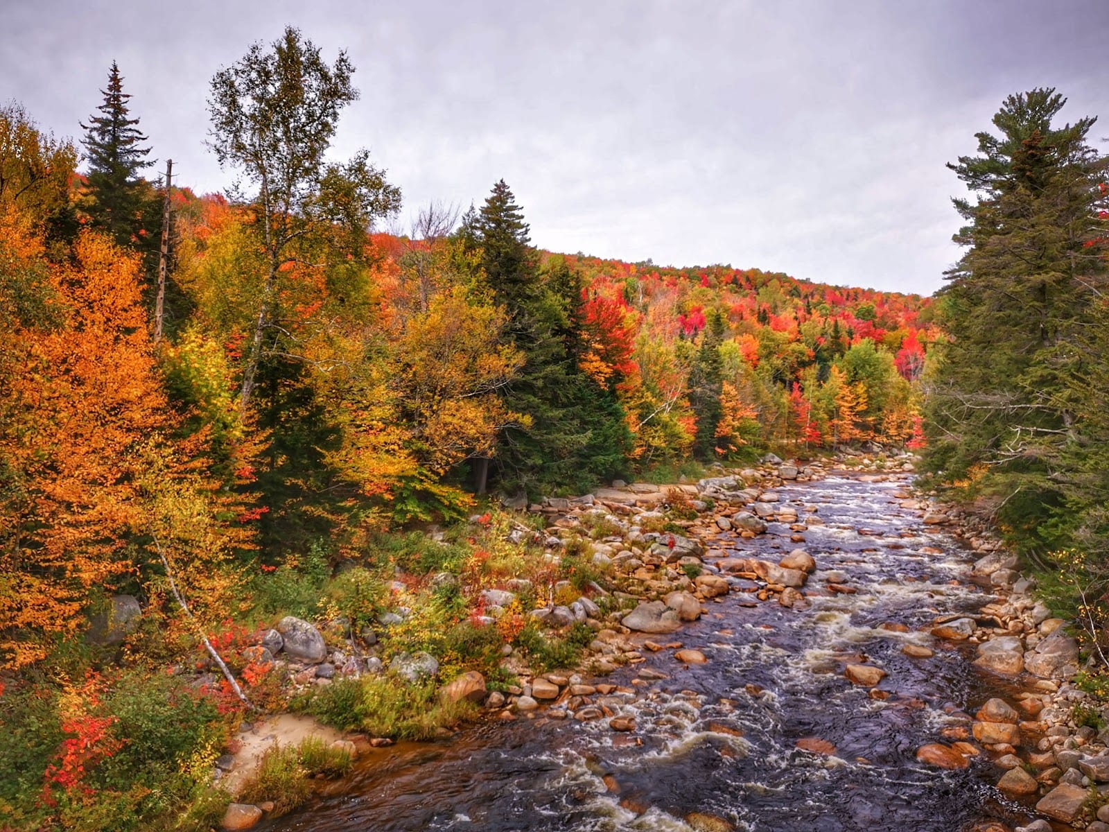 Brilliant autumn foliage along a mountain road in the White Mountains of New Hampshire.