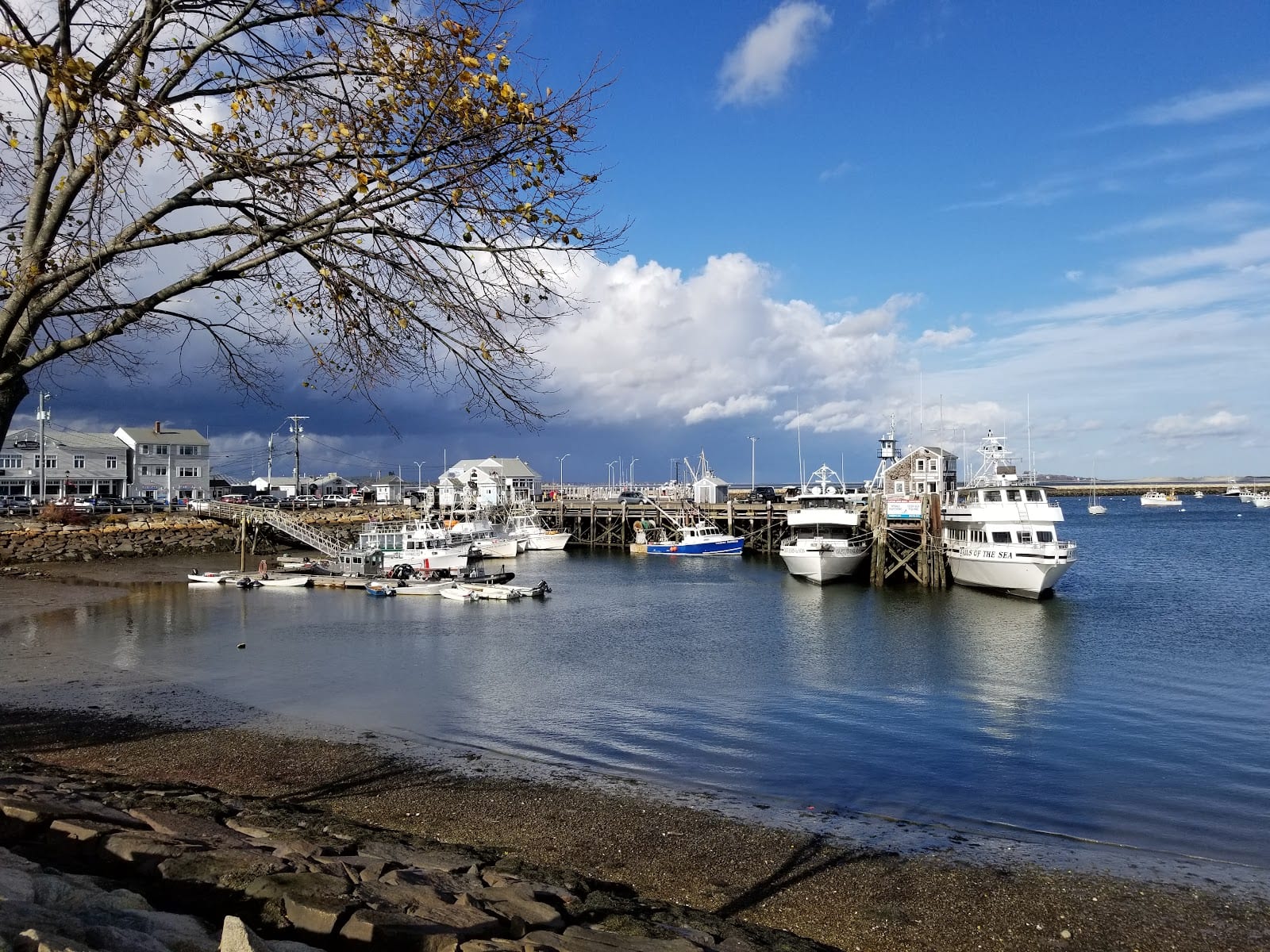 Plymouth Harbor with boats moored along the Massachusetts waterfront.