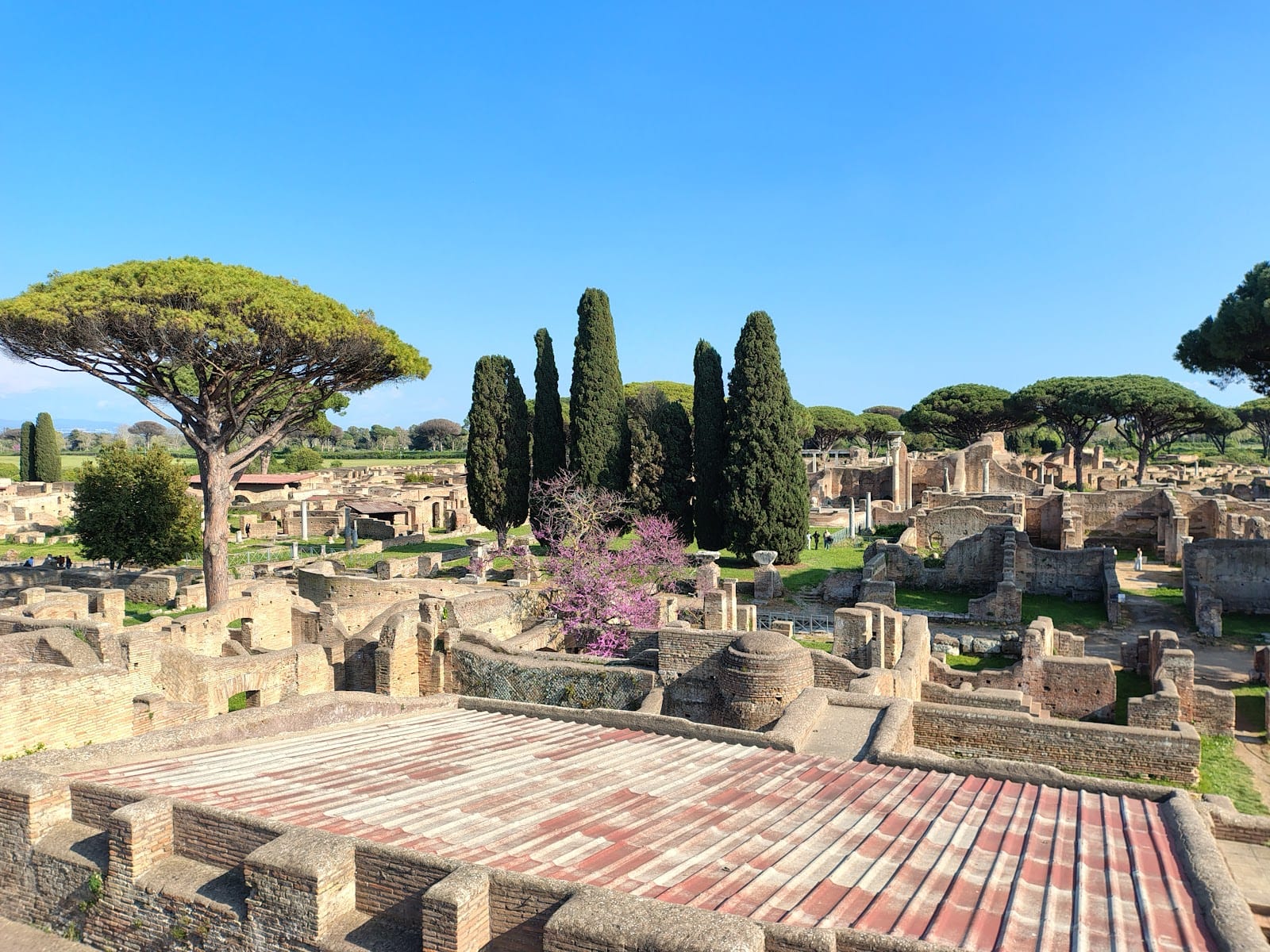 The excavated streets and ruins of Ostia Antica among cypress and pine trees.
