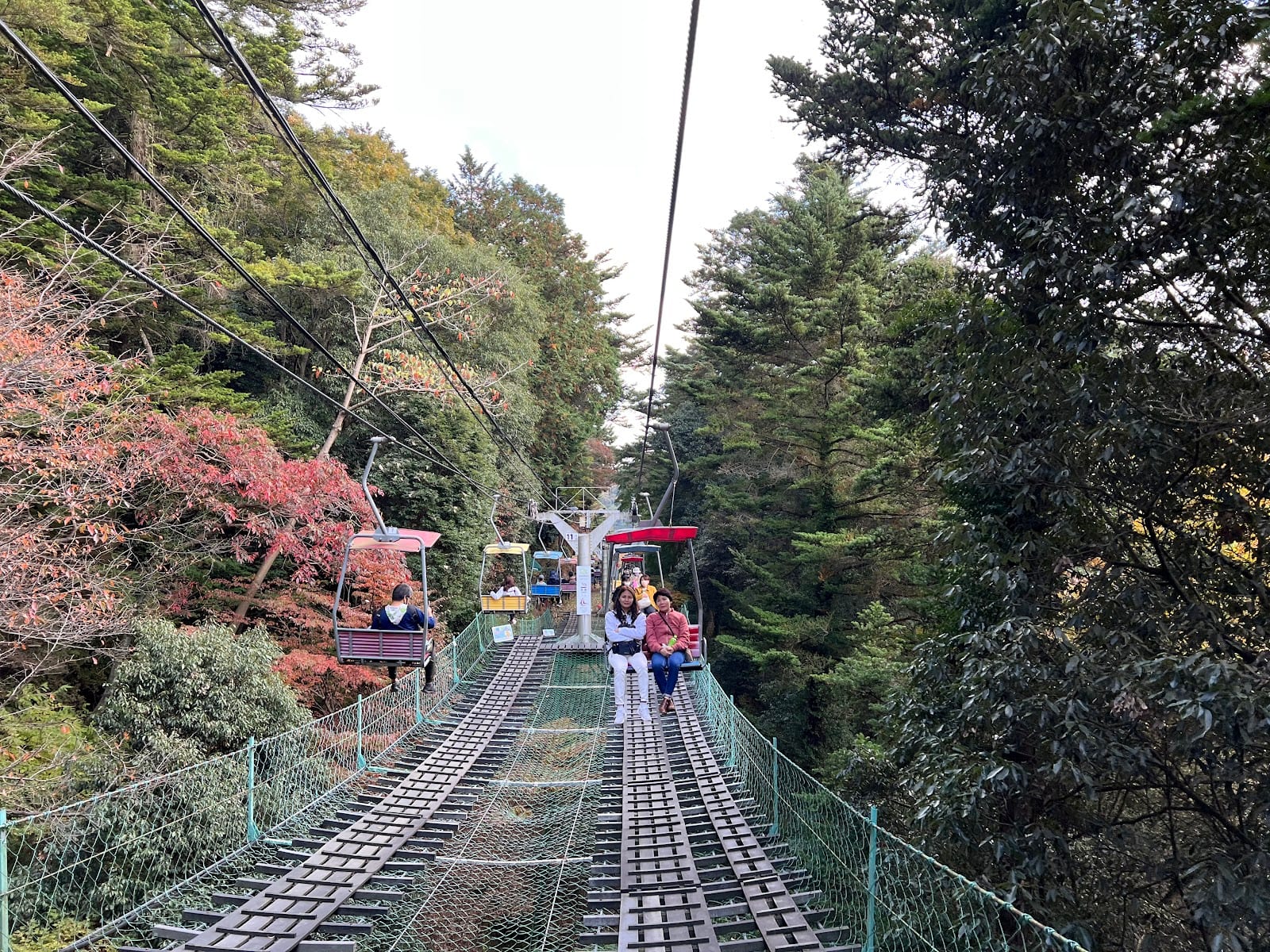 The open chairlift carrying visitors up through autumn forest on Mt. Takao.