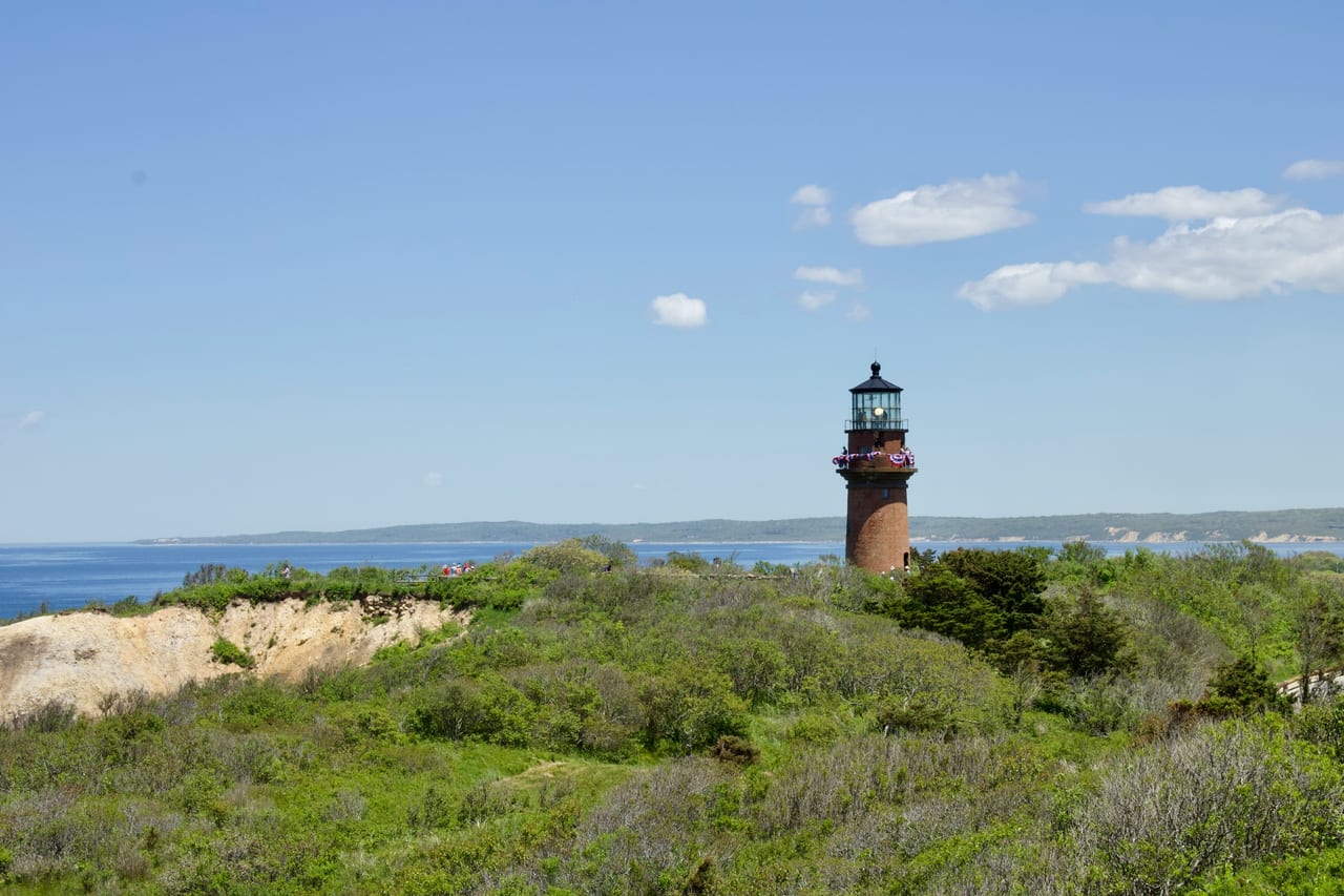 A lighthouse stands among low shrubs near the coast.
