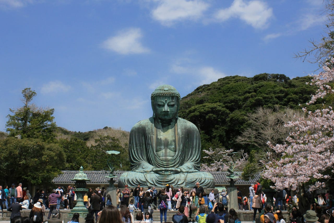 The Great Buddha of Kamakura, a giant weathered-bronze seated figure, sits outdoors against blue sky and spring cherry blossoms.