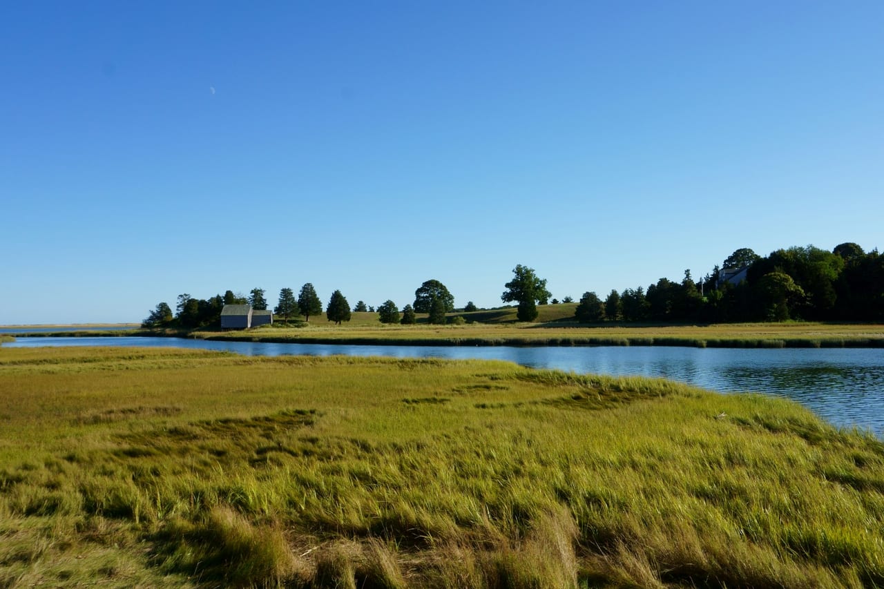 A calm inlet winds through marsh grass toward a distant shoreline of trees and houses under bright blue sky.