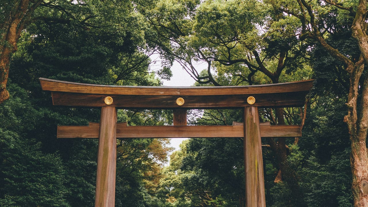 The giant wooden torii gate of Meiji Jingu, crowned with gold imperial crests, stands within its towering forest.