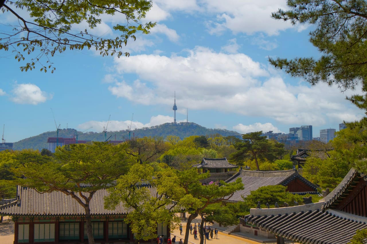 Traditional palace buildings and trees frame N Seoul Tower in the distance.