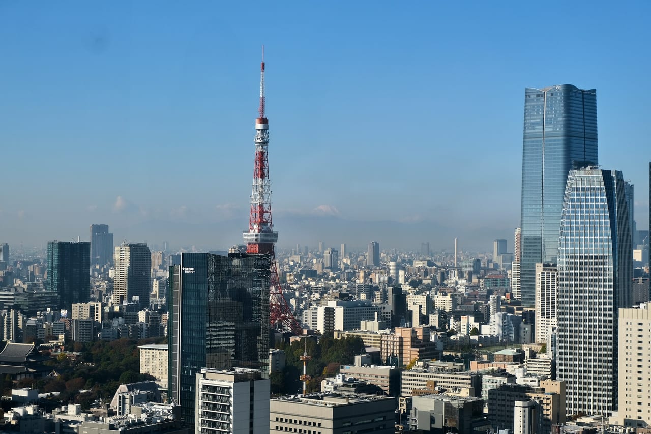 Tokyo Tower and the city skyline stretch to the horizon under a clear blue sky.