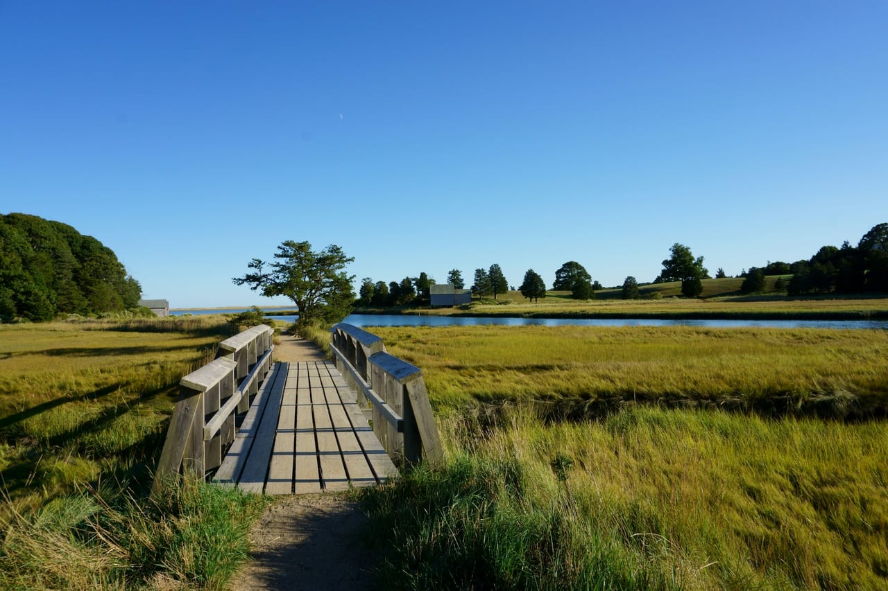 A wooden footbridge crosses a tidal marsh channel under a clear blue sky with green and gold grasses on both sides.