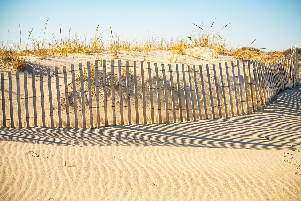 A wooden fence crosses sandy dunes covered with beach grass.