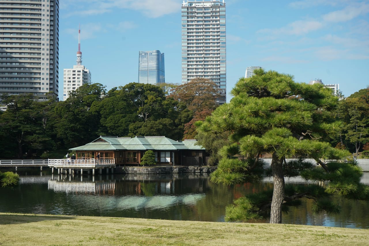 A traditional wooden teahouse sits on Hamarikyu's tidal pond, with modern Shiodome skyscrapers rising directly behind the trees.