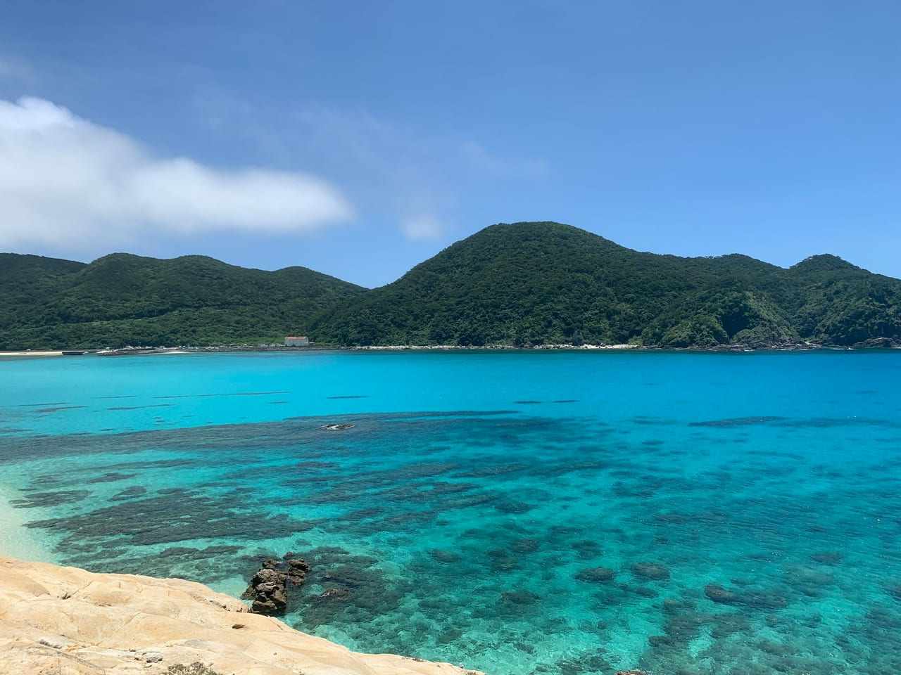 Clear turquoise water and coral reef along a forested island coast.
