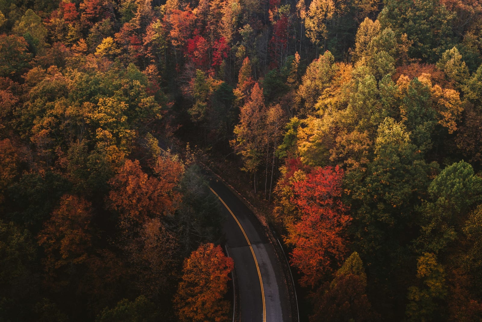 A winding road through peak fall foliage in the New England hills.