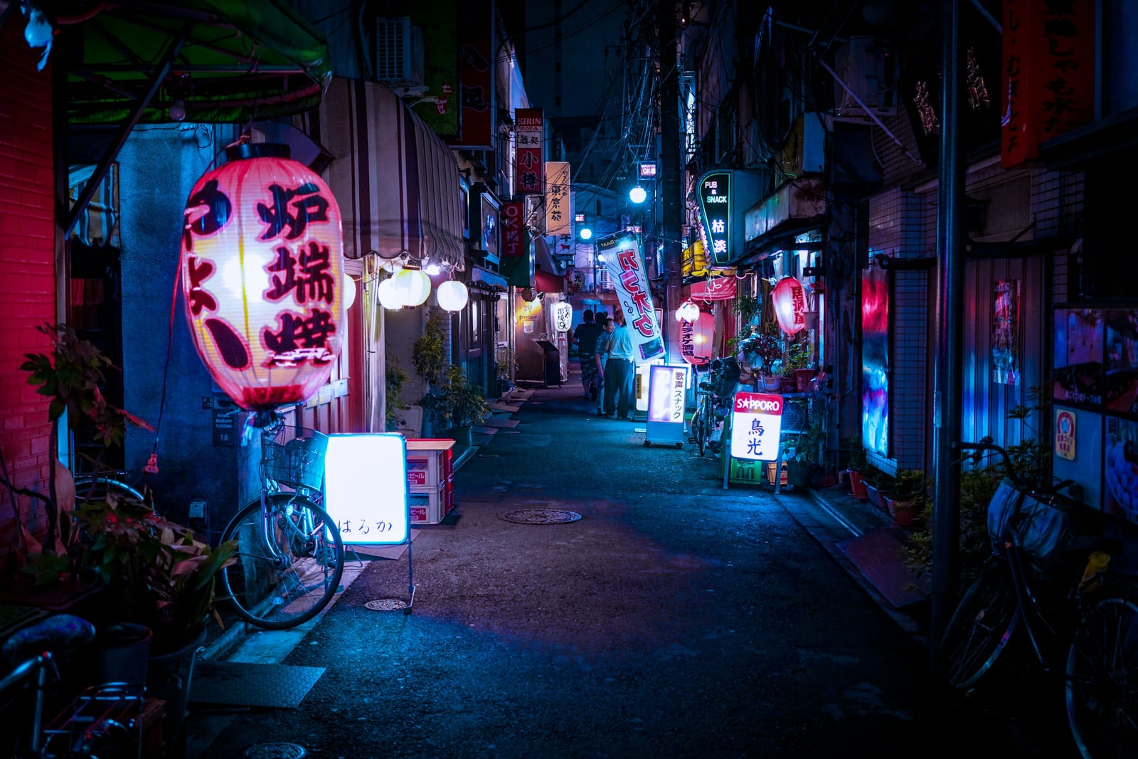 A lantern-lined alley in old-town Asakusa