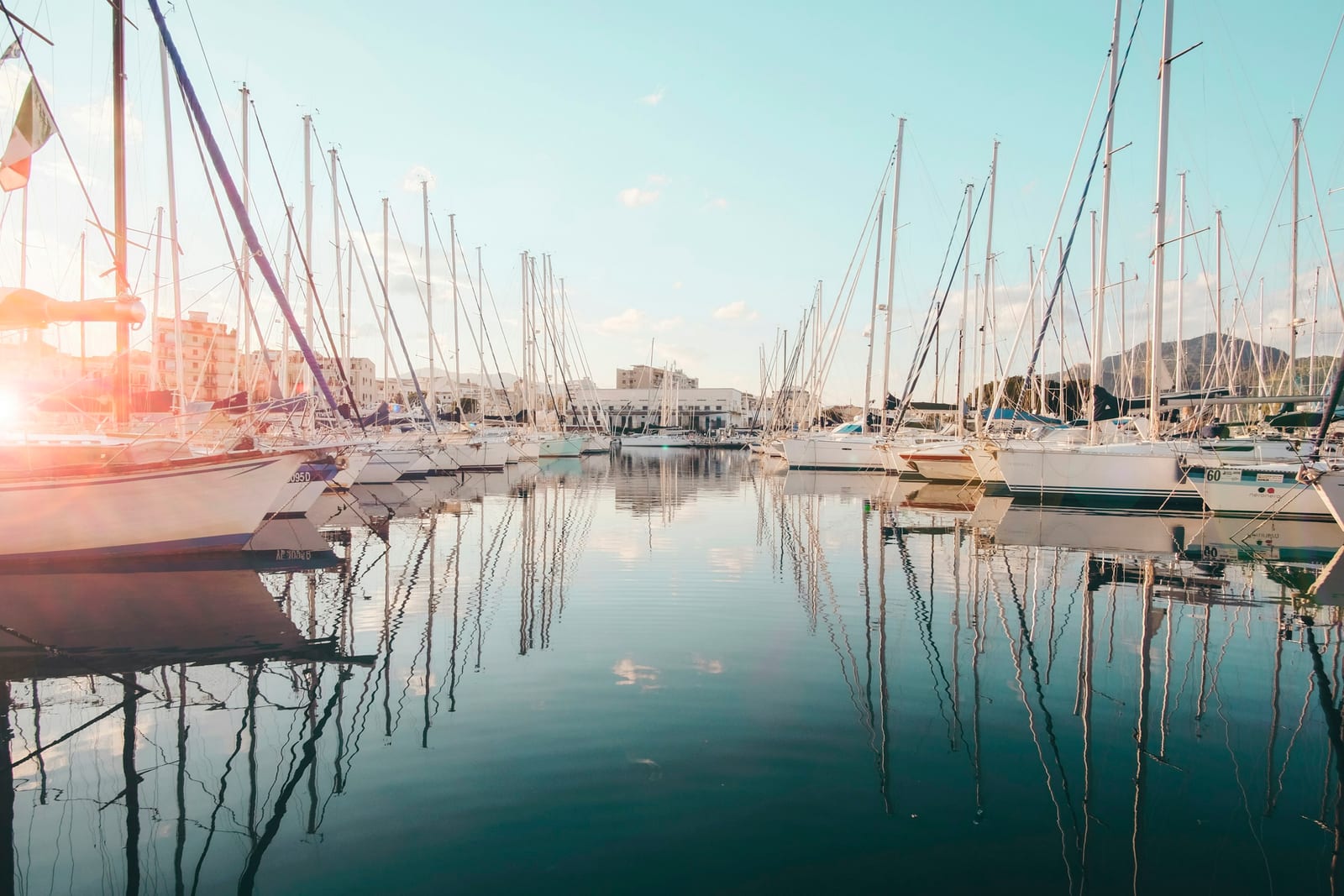 Sailboats fill a bright marina with calm water reflecting their masts.