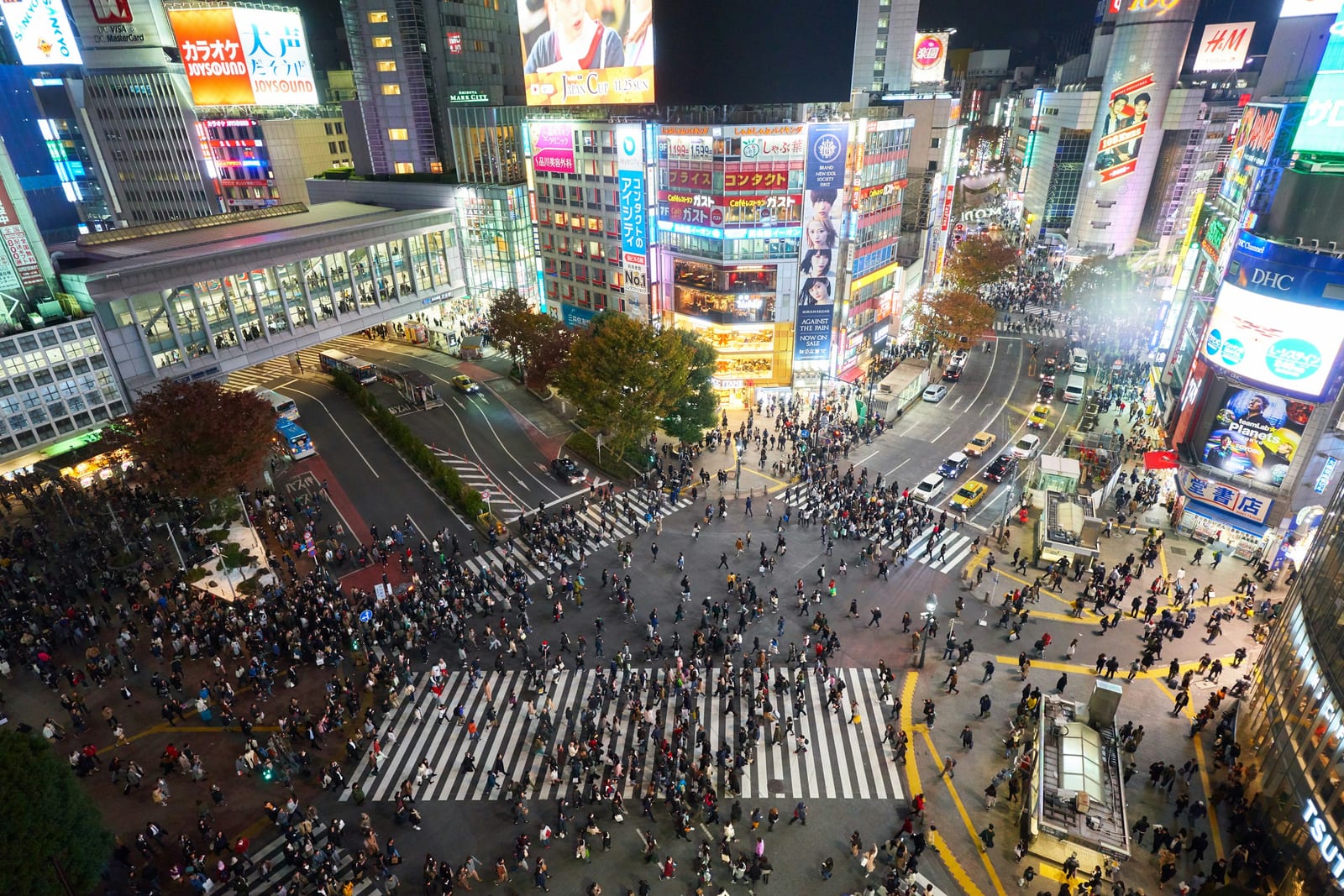 Shibuya's neon-lit streets and crossing at night.