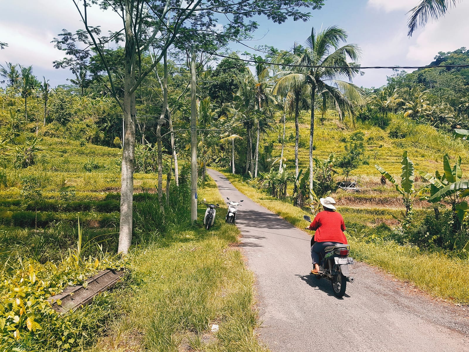 A scooter rider travels along a narrow rural road lined with palm trees and green fields.