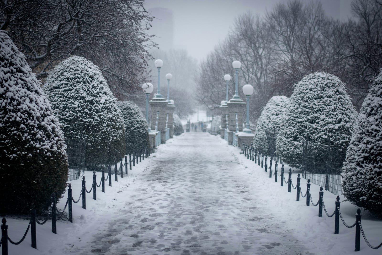 Snow-dusted Boston Common with bare trees and a quiet winter morning.