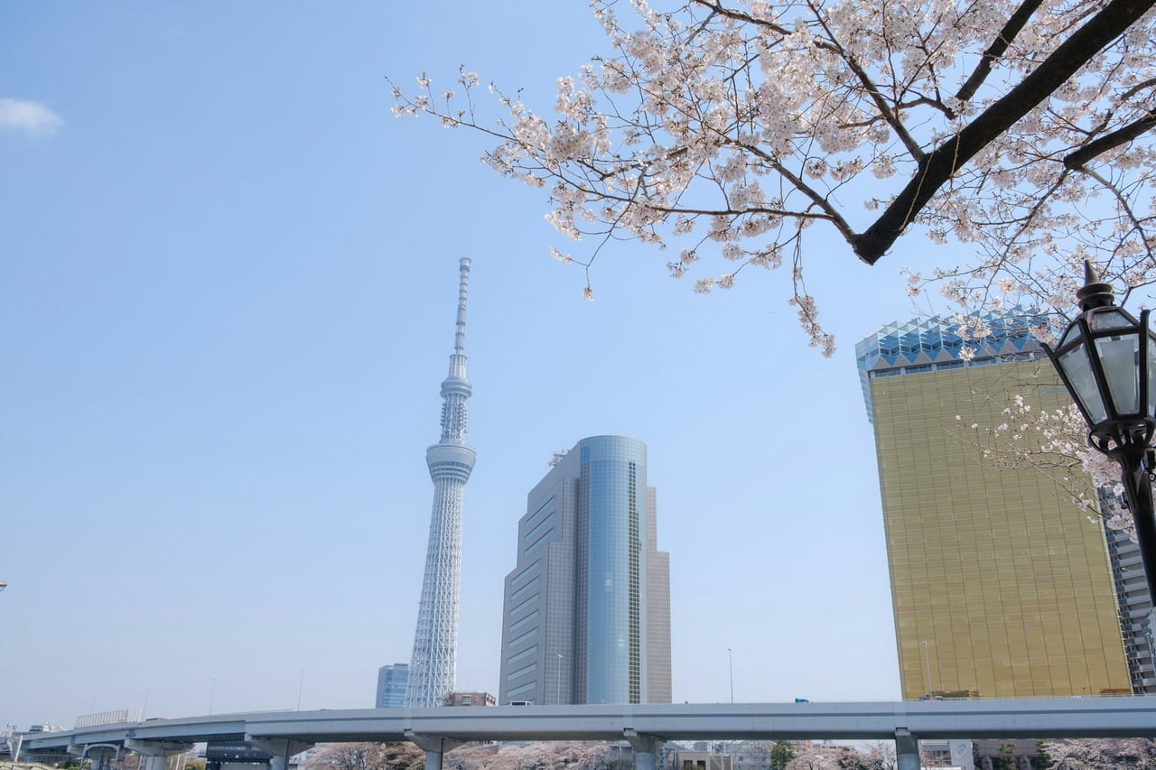 The Tokyo Skytree's slender white spire rises through a frame of pale-pink cherry blossoms against a deep blue sky.