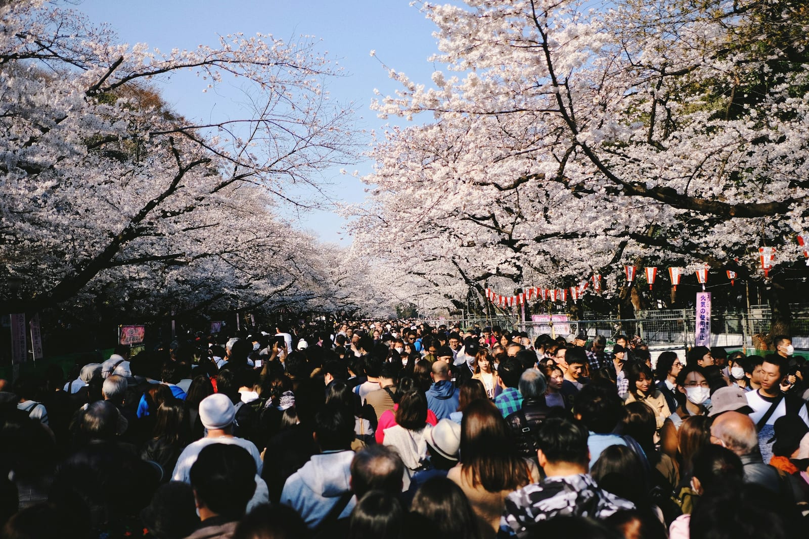 Tree-lined paths in Ueno Park, Tokyo.