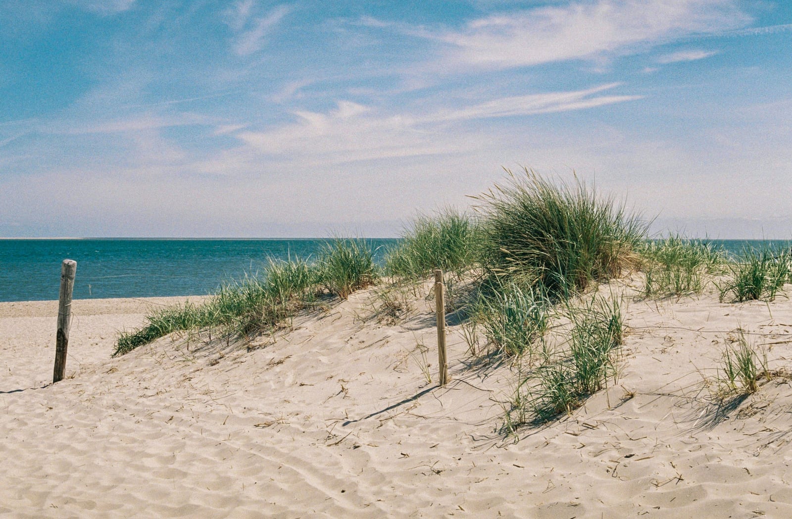 Sand dunes covered in beach grass lead down to the ocean under a bright blue sky with a wooden fence post in the foreground.