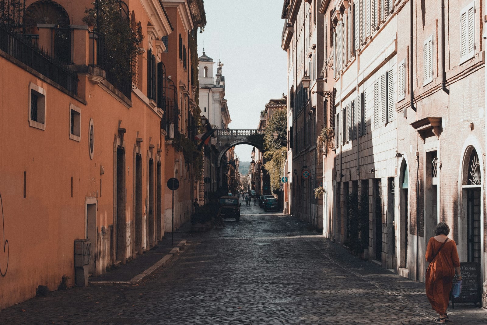 A quiet cobblestone lane lined with potted plants in Trastevere.