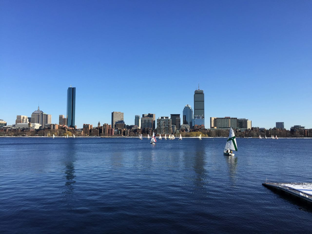 Sailboats dot the Charles River basin with the Boston skyline and Longfellow Bridge behind them on a summer day.