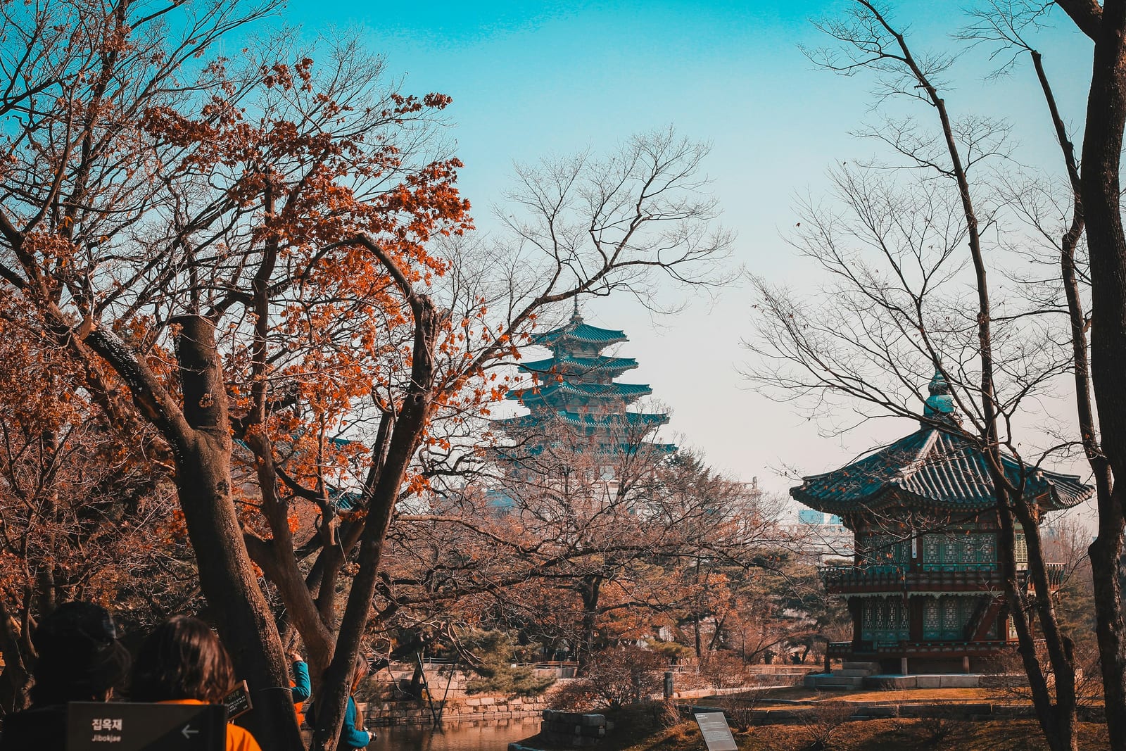 A traditional Korean pavilion and a multi-tiered pagoda stand among autumn trees in Seoul.
