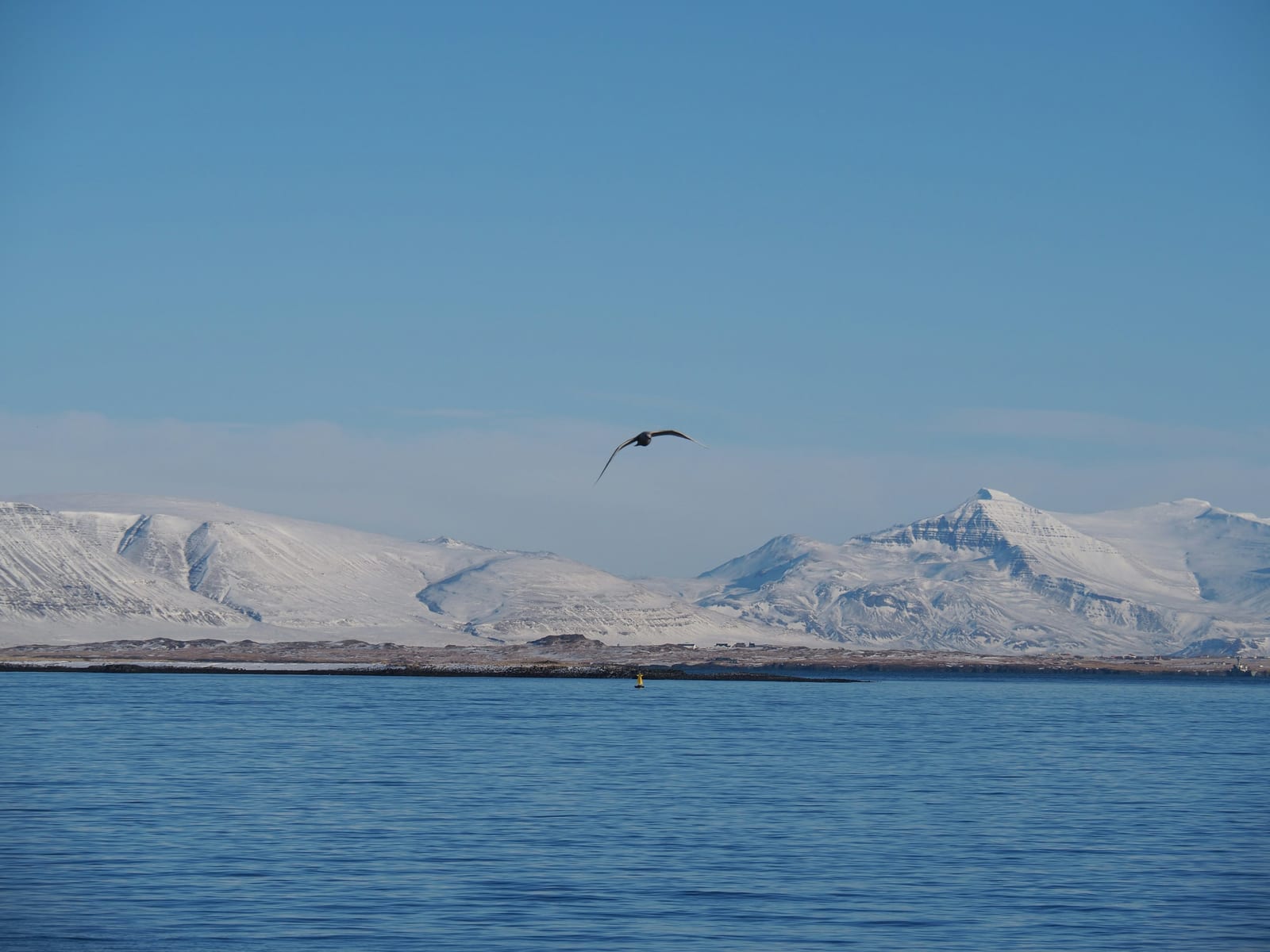 Blue water faces a snow-covered mountain range under a clear sky.
