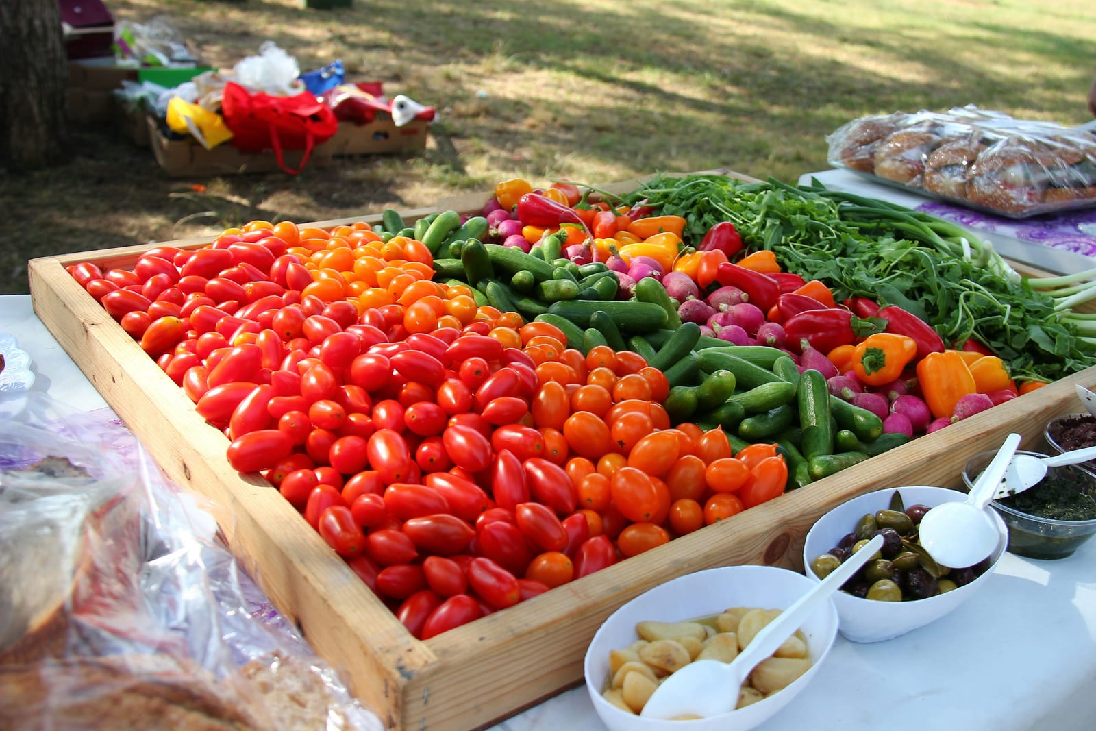 A farm stand table displays neat rows of tomatoes, peppers, cucumbers, greens, and prepared produce.
