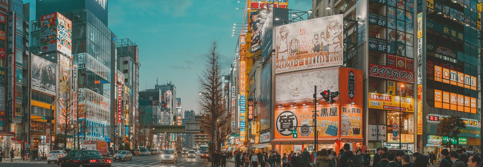 The neon signs and crowds of Akihabara's Electric Town at night.
