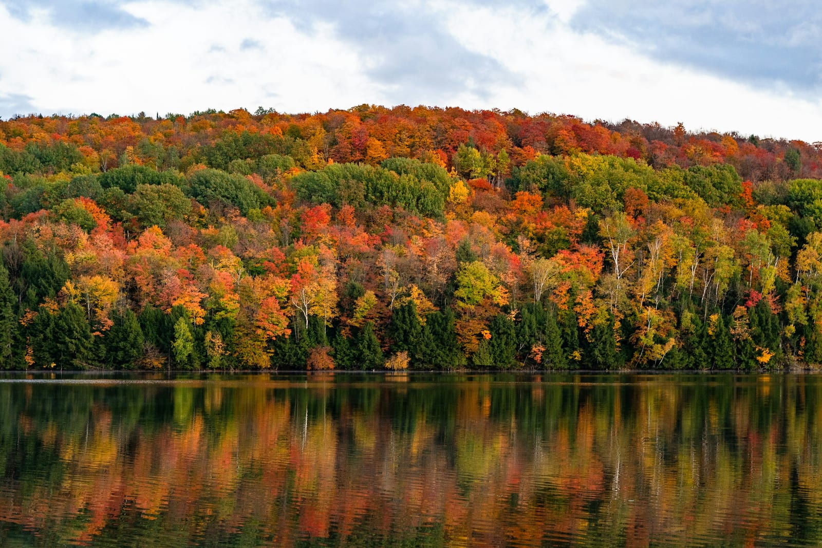 Rolling hills covered in red and orange fall foliage in the Berkshires of western Massachusetts.