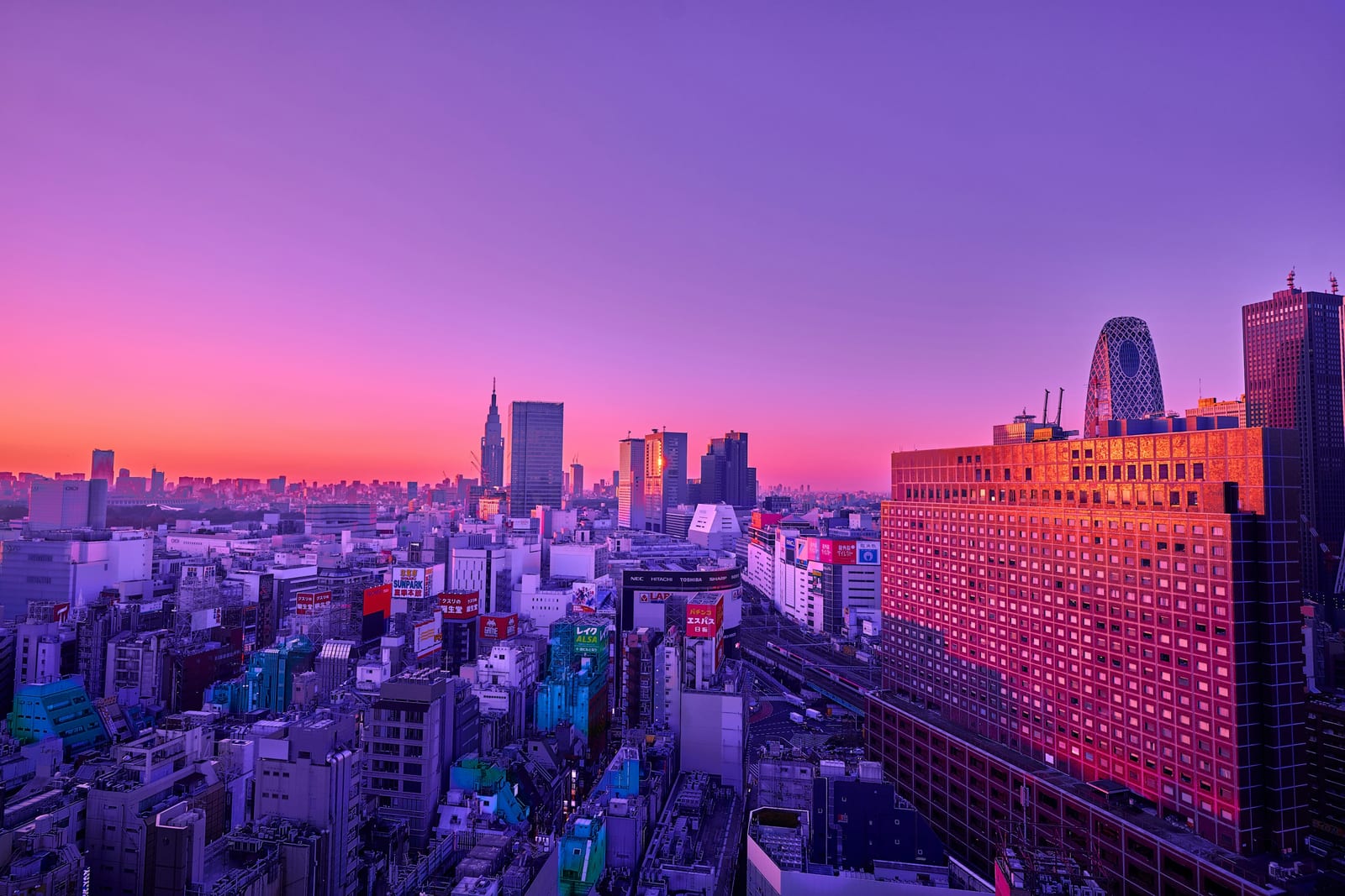 West Shinjuku skyscrapers at dusk