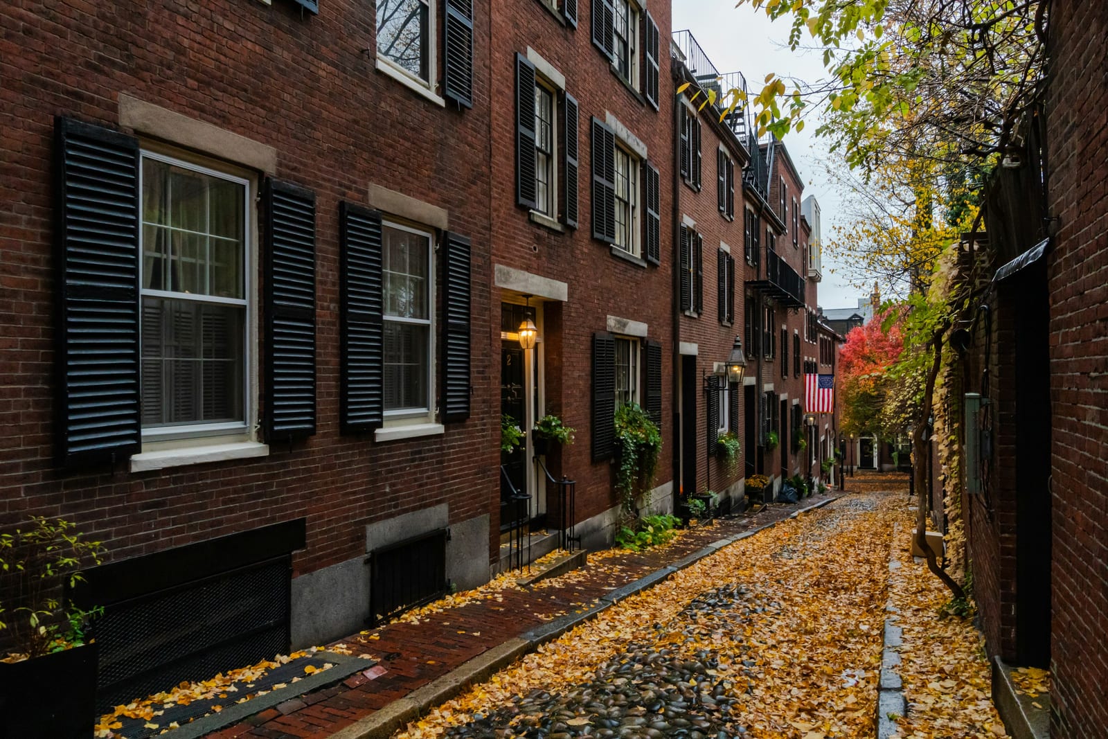 Brownstone row houses along a tree-lined Back Bay street