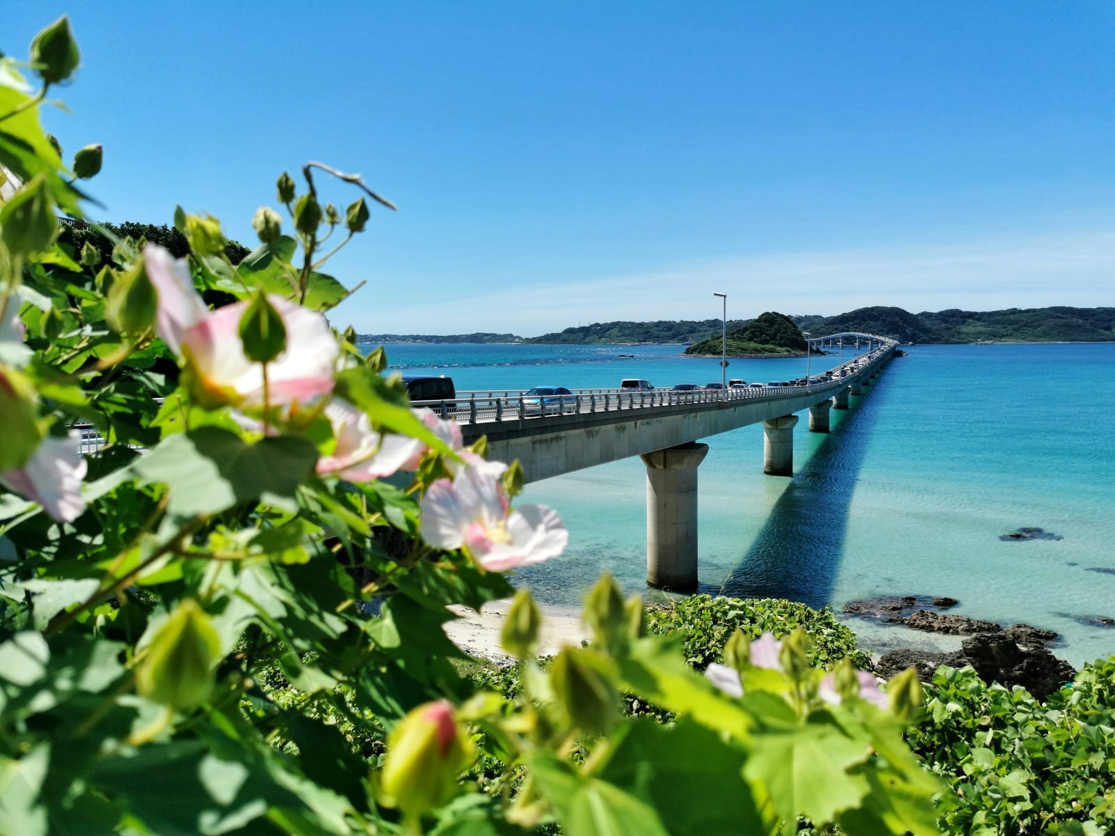 Pink flowers frame a bright turquoise beach and a long bridge under a clear blue sky in Okinawa.