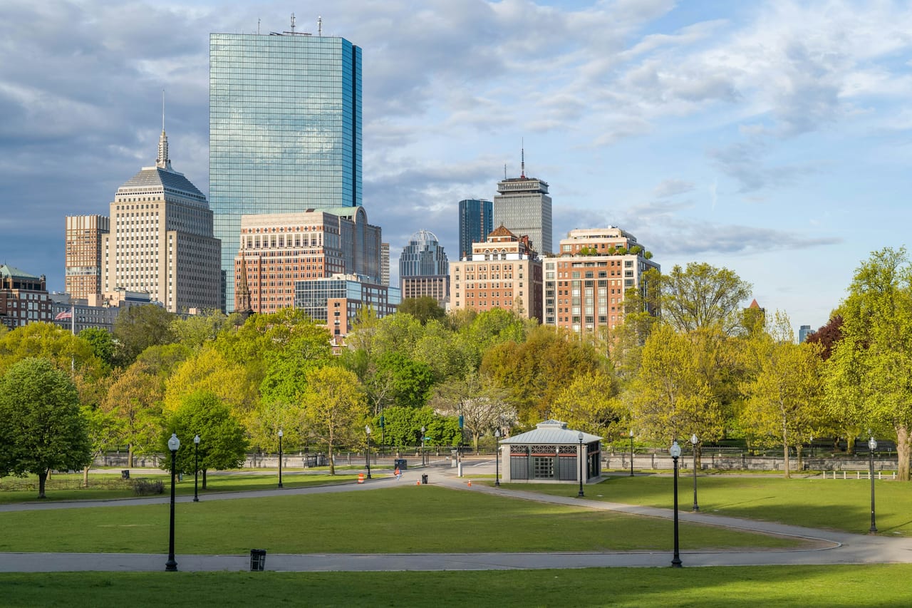 Trees line the walkways of Boston Common with the city skyline rising behind them.