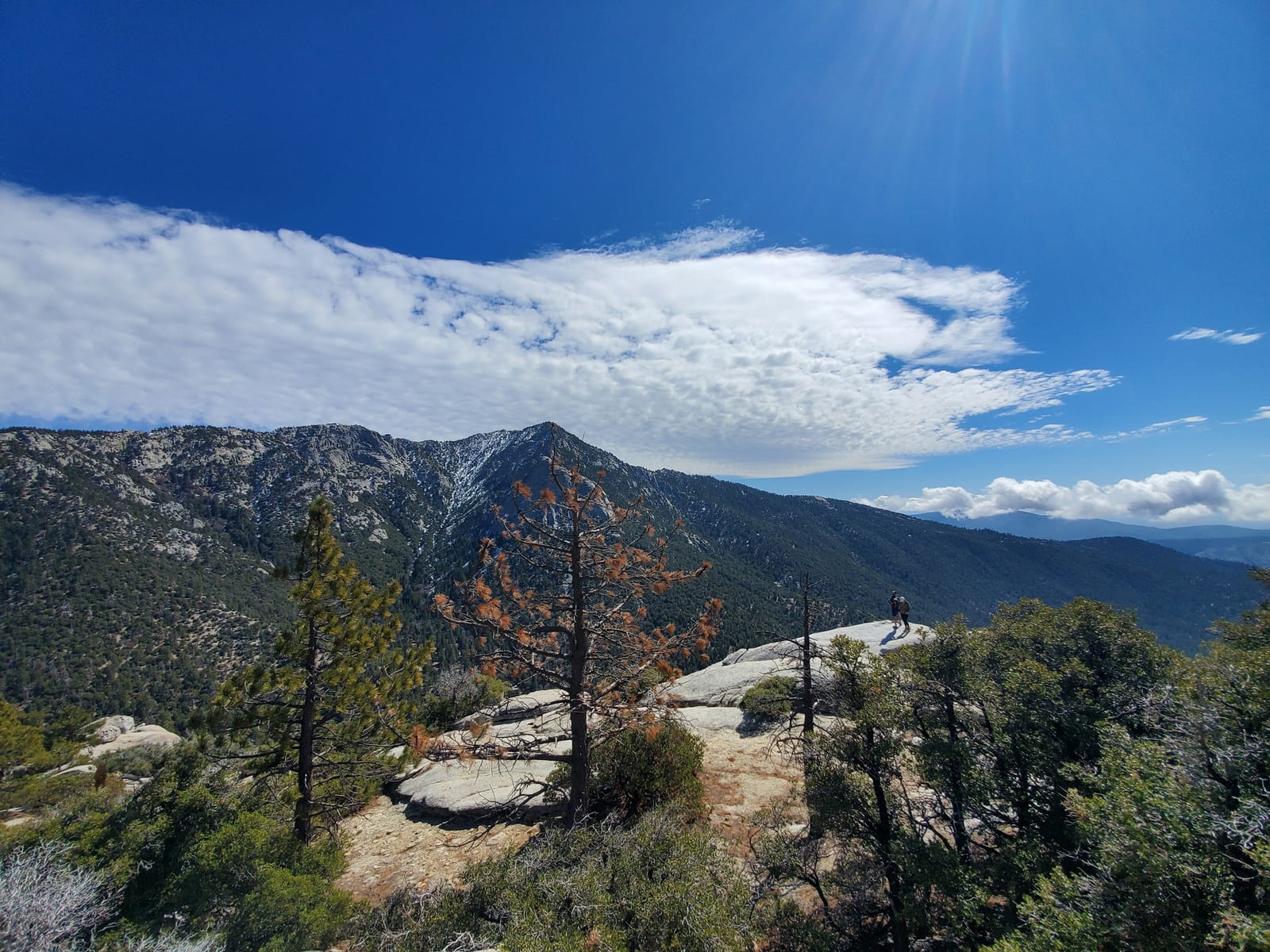 A sweeping view of forested mountain ridges under a clear blue sky.
