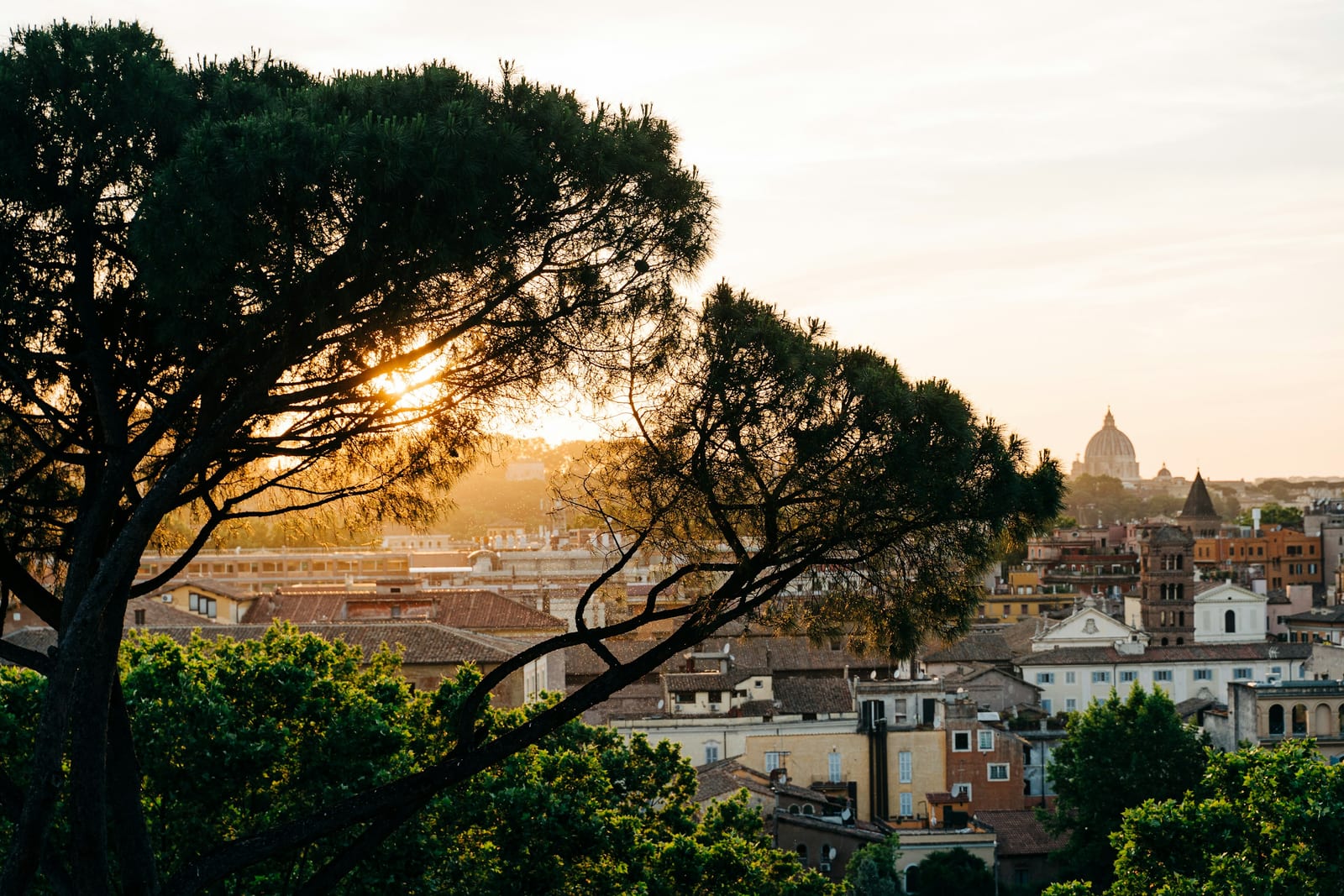 The dome of St Peter's beyond umbrella pines and Roman rooftops at sunset, seen from the Aventine Hill.