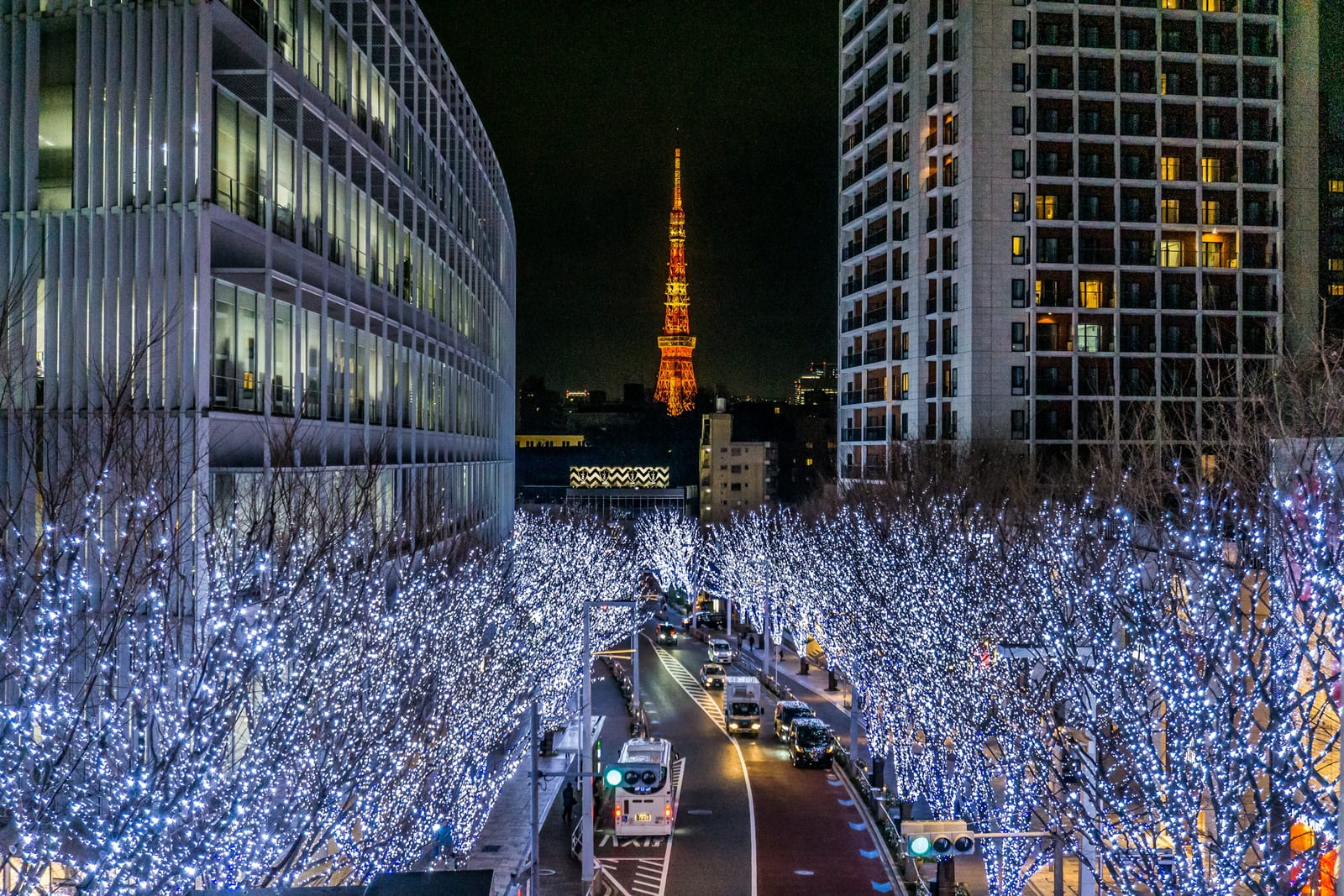 The Keyakizaka winter illumination leading to Tokyo Tower