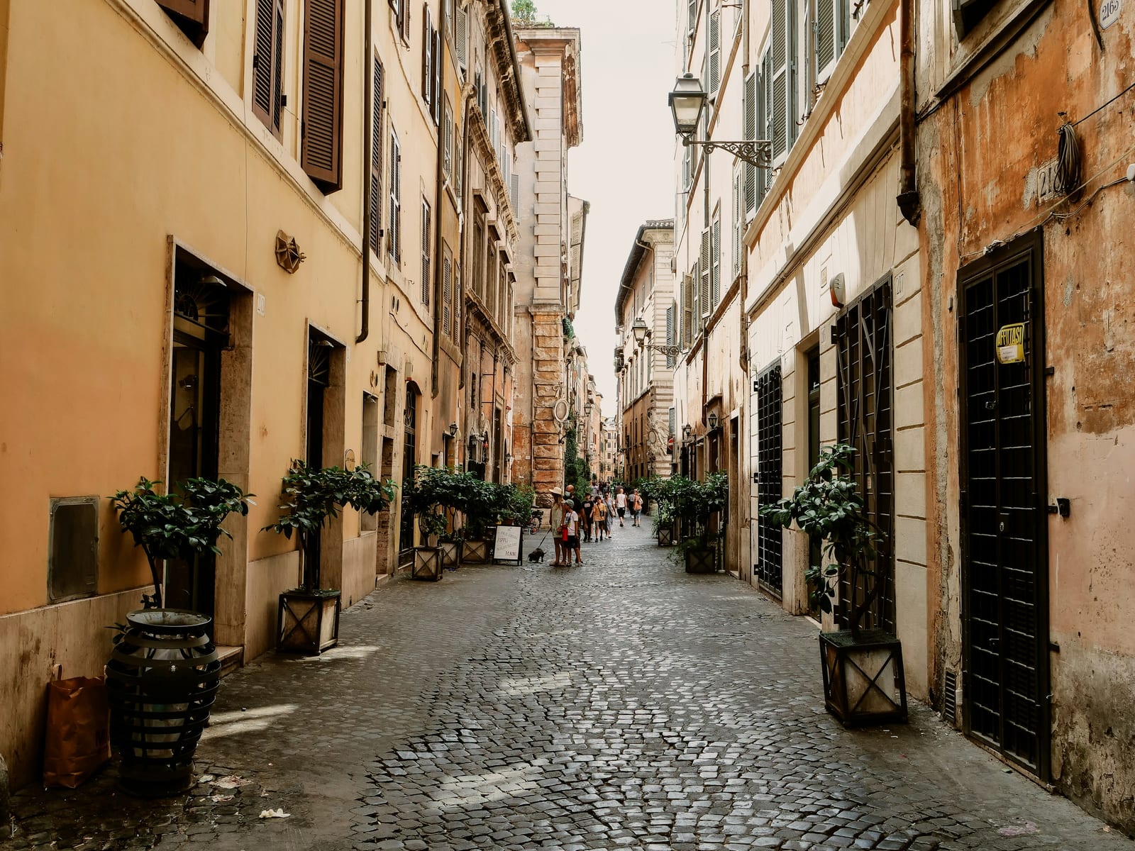 A quiet cobblestone lane lined with potted plants in Trastevere.