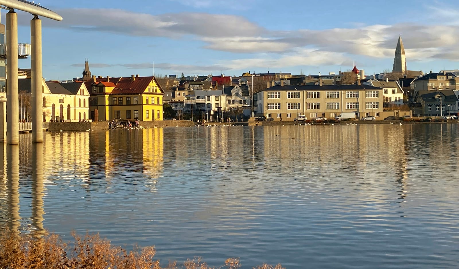 Colorful historic buildings line Reykjavik's waterfront, reflected in calm water with autumn vegetation in the foreground.