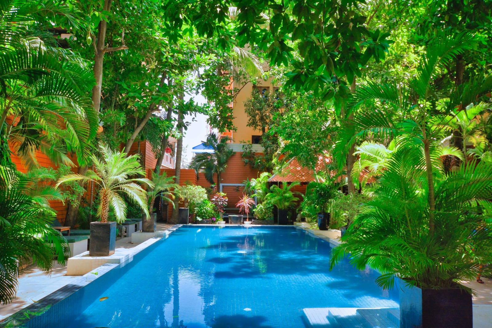 A bright blue pool is surrounded by lush tropical plants and villa buildings.