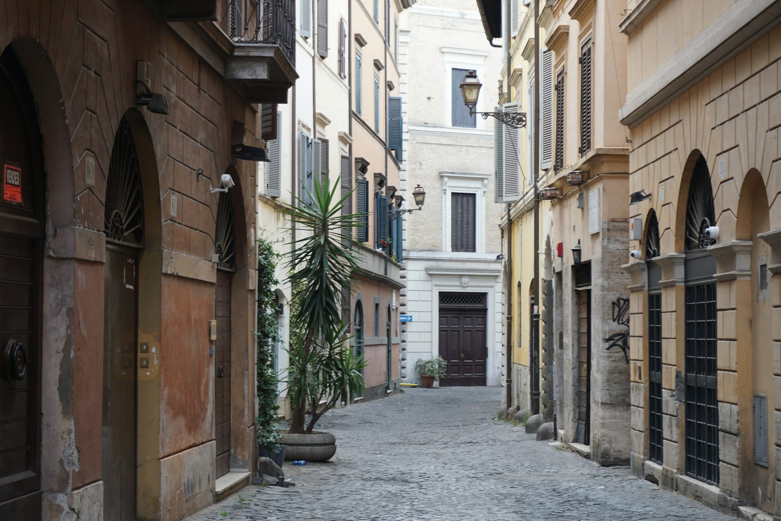 A quiet cobblestone lane lined with potted plants in Trastevere.