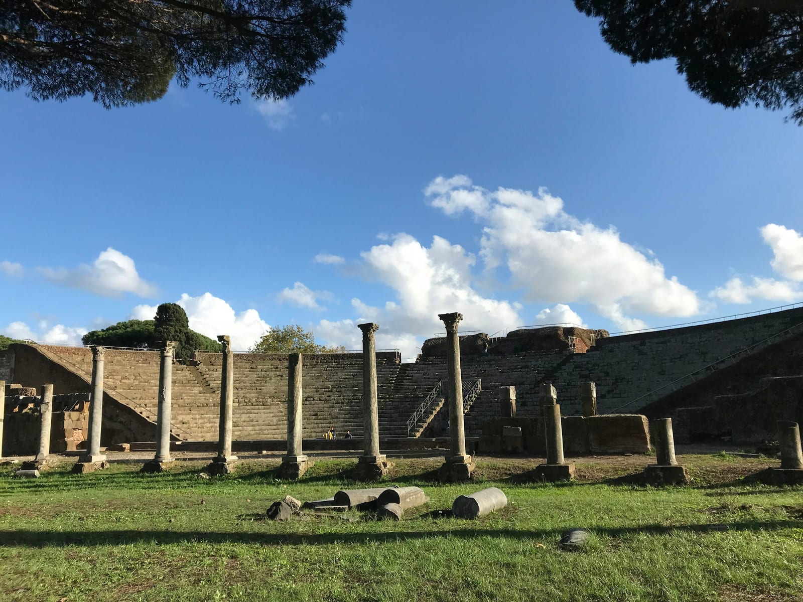 The stone tiers of the Roman theatre at Ostia Antica among umbrella pines.