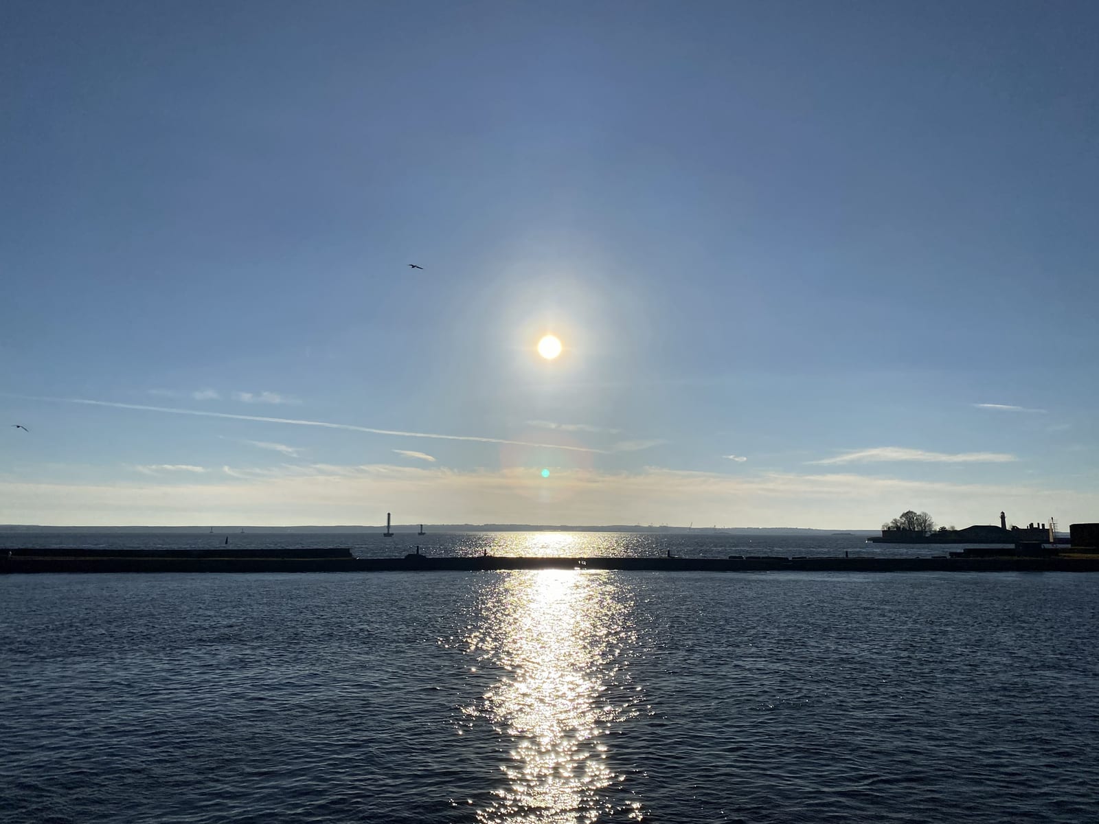 Sunlight reflects across harbor water beside a long breakwater under a clear blue sky.
