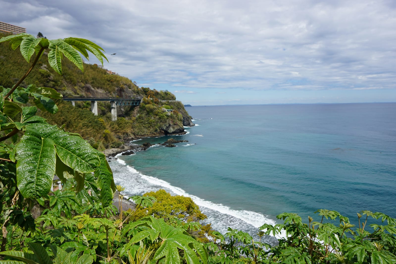 The rugged green Izu coastline near Atami where the hills meet the sea.