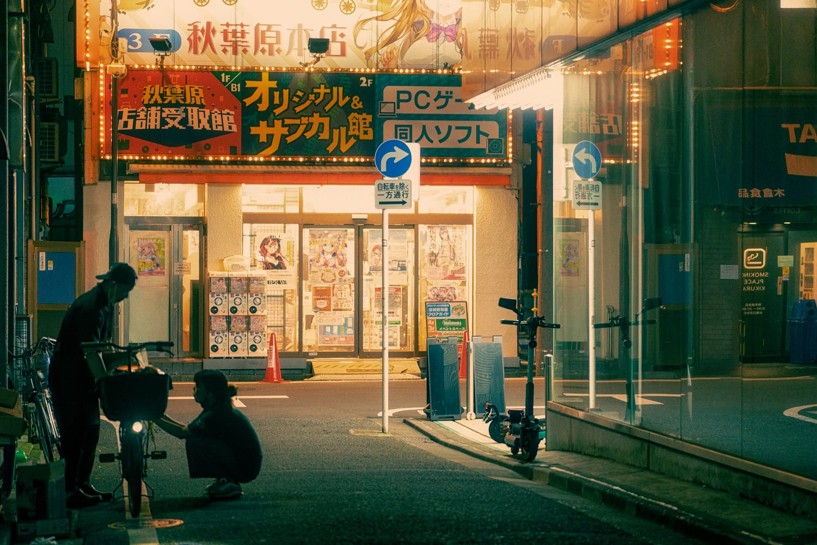 The neon signs and crowds of Akihabara's Electric Town.
