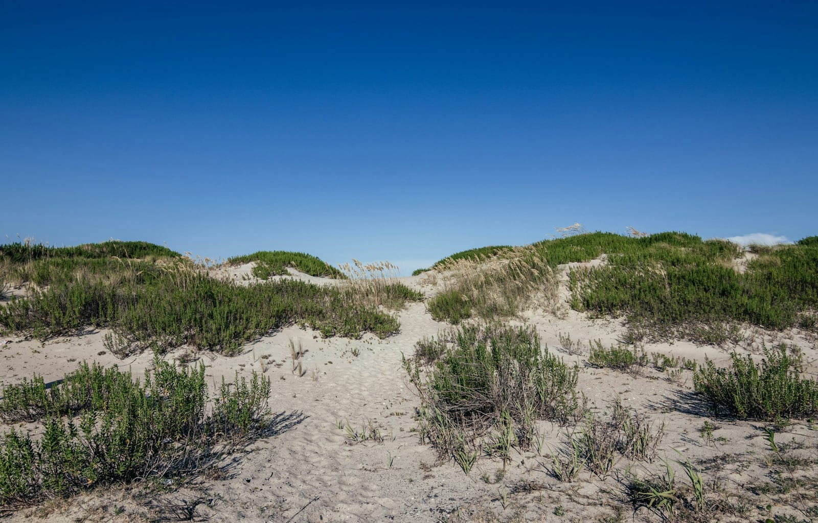 Sunlit sand path winds between green-tufted dunes under a clear deep blue sky.